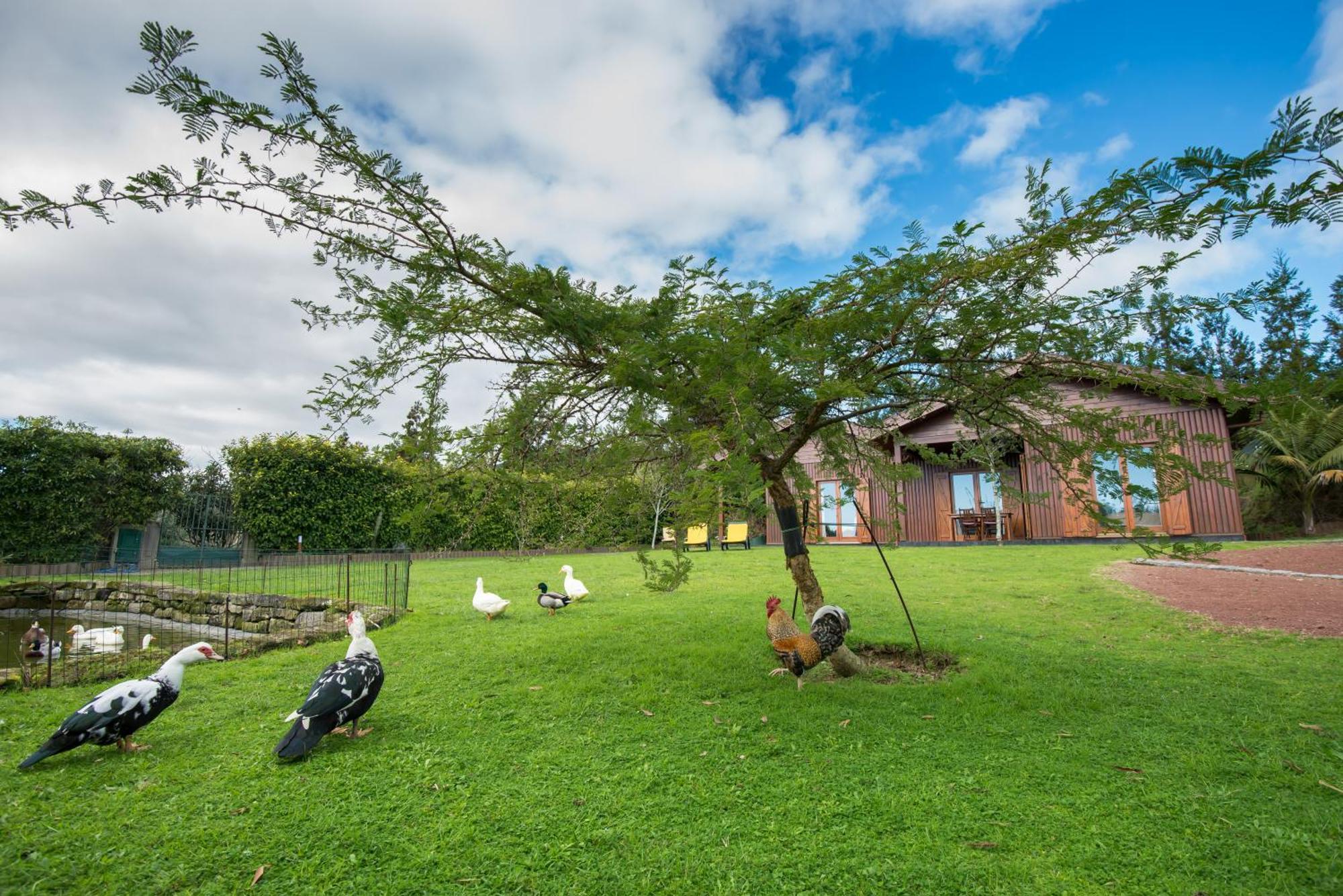 Quinta Dos Curubas Villa Vila Franca do Campo Buitenkant foto