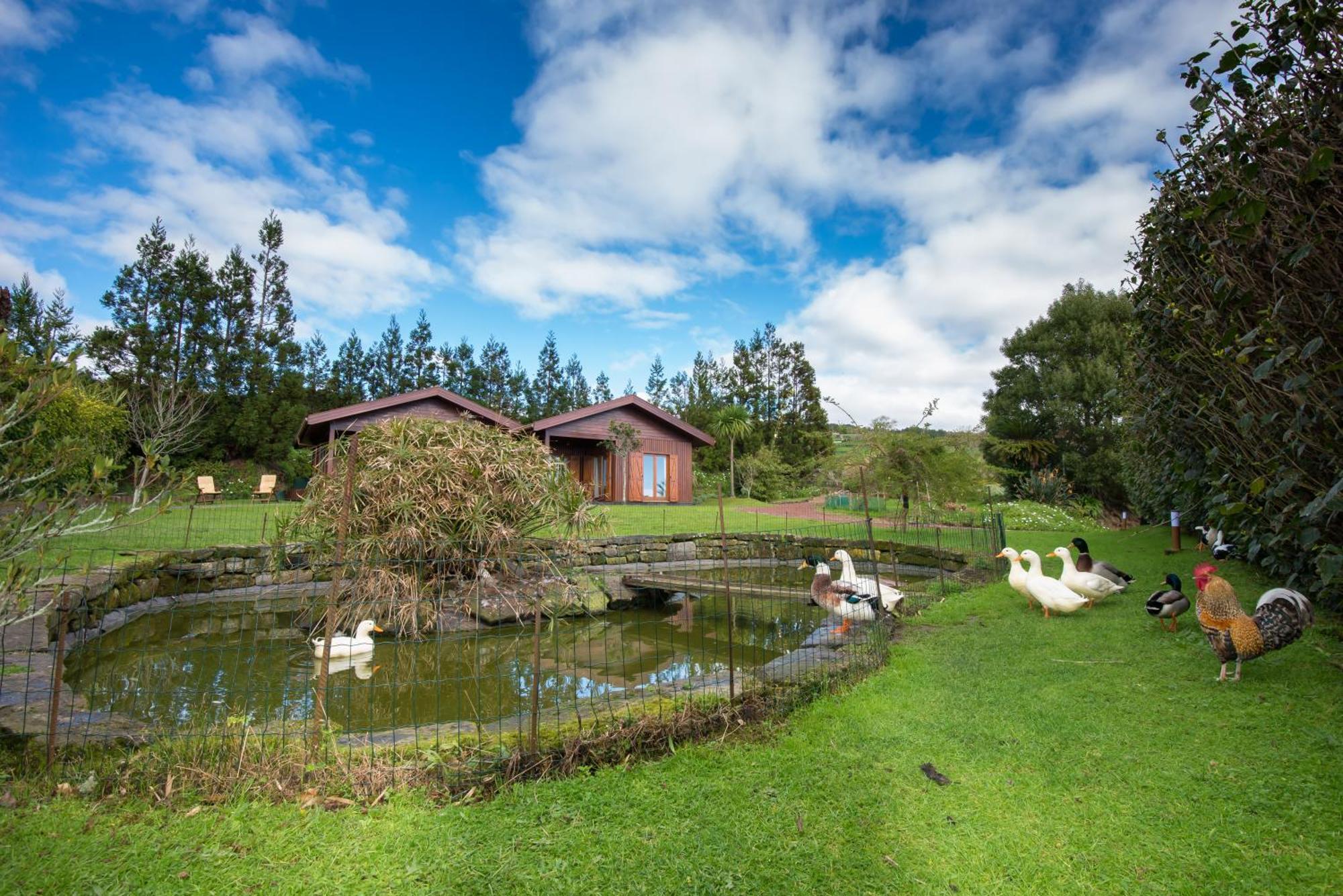 Quinta Dos Curubas Villa Vila Franca do Campo Buitenkant foto